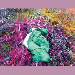 Dreamdecay: N V N V N V LP